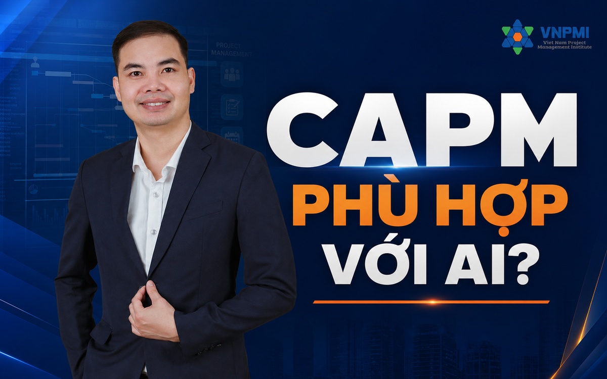 Viện Quản lý dự án Việt Nam - VNPMI