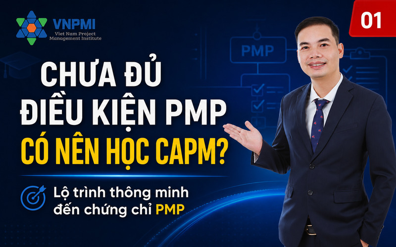 Viện Quản lý dự án Việt Nam - VNPMI