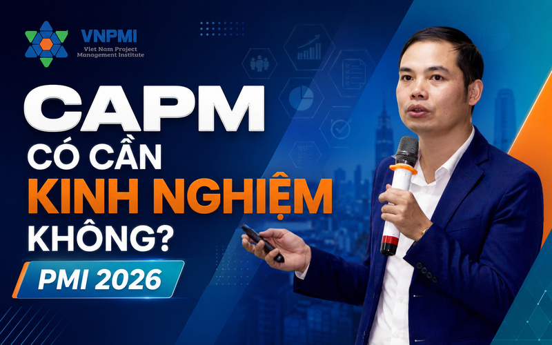 Viện Quản lý dự án Việt Nam - VNPMI