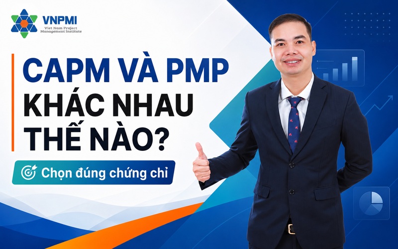 Viện Quản lý dự án Việt Nam - VNPMI