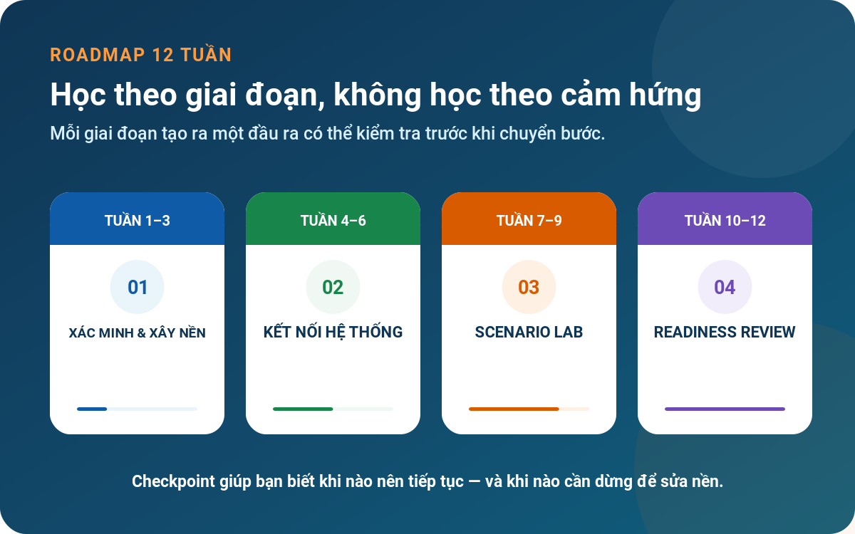 Roadmap PMP 12 tuần từ nền tảng đến Readiness Review